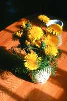 DANDY BOUQUET